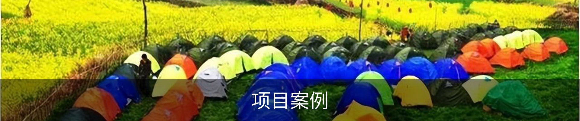 项目案例